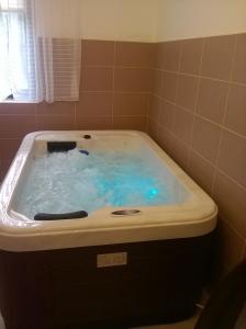 a bath tub filled with blue water in a bathroom at ZENITH APARTMAN in Gárdony