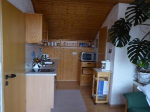 阿爾戈伊地區伊斯尼的住宿－Ferienwohnung Kullmann-Arendt，一间带水槽和微波炉的小厨房