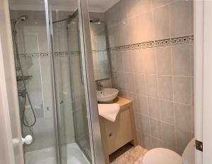 a bathroom with a shower and a toilet and a sink at Incredible Frontal Sea View - Praia da Galé in Albufeira