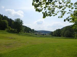 ein großes grünes Feld mit Bäumen im Hintergrund in der Unterkunft Ferienhaus Zur Mühle in Mossautal