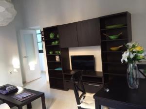 TV a/nebo společenská místnost v ubytování Apartamento Centro de Cádiz y Playa