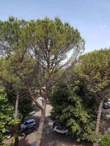 Kép Piccolo Poggio Apartments szállásáról Firenzében a galériában