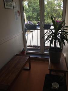 Rõdu või terrass majutusasutuses B&B Alex18