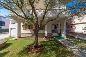 a tree in the yard of a house at A&J deluxe apartment in Biograd na Moru