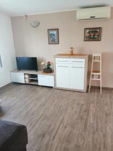 TV a/nebo společenská místnost v ubytování Apartments Jasna