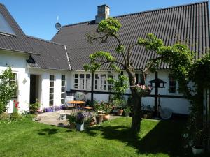 a house with a tree in the yard at Æblehaven in Toftebjerg