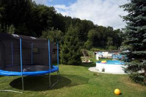 a backyard with a trampoline in the grass at Ferienwohnung Erzhütte in Rechenberg-Bienenmühle