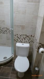 a bathroom with a toilet and a shower at Penzion Sklář in Nový Bor