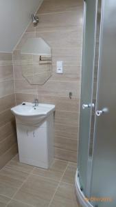 a bathroom with a sink and a shower with a mirror at Penzion Sklář in Nový Bor