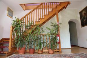 Fotografie z fotogalerie ubytování New Aosta Garden v destinaci Sinaia