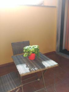 eine Topfpflanze auf einem Tisch neben einem Stuhl in der Unterkunft Espe Daga Apartamento in Bueu
