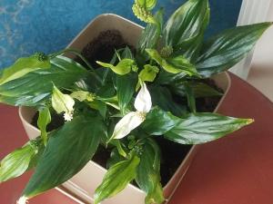 Afbeelding uit fotogalerij van Hostel Otard in Belgrado