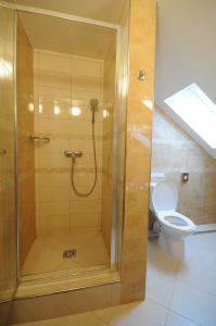 a bathroom with a shower with a toilet at Penzión Adika in Mýto pod Ďumbierom