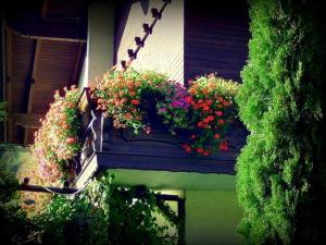 Zdjęcie z galerii obiektu Appartement Ria w mieście Bad Kleinkirchheim