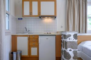 A kitchen or kitchenette at Filoxenia Apartments