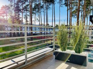 Vonkajšia záhrada v ubytovaní Apartament RELAX
