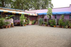 Right Venue Hotel في Thika: مبنى به الكثير من النباتات الفخارية