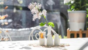 Zahrada ubytování Parus Boutique Hotel