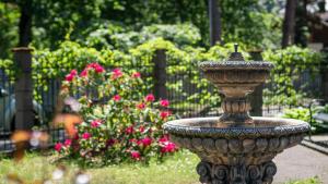 Zahrada ubytování Parus Boutique Hotel