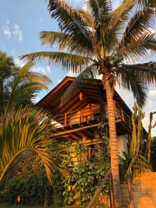 Zahrada ubytování Los Cocos de Vichayito