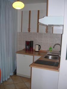 a kitchen with a sink and a counter top at Vacation Home Lucija in Slatina