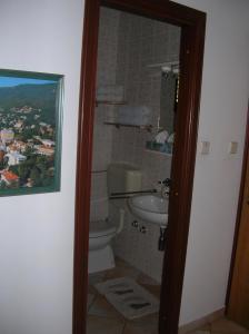 a bathroom with a toilet and a sink at Vacation Home Lucija in Slatina