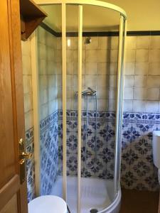 a shower in a bathroom with a toilet and a tub at Camangu-Estudio in Ribadesella