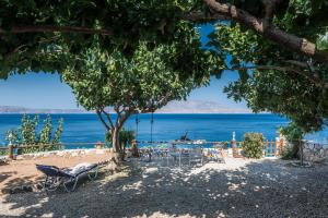 a beach with chairs and a tree and the ocean at apartment over the sea Private place to swim in Ravdhoúkha +22 photos
