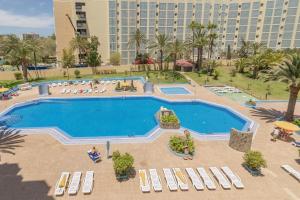 Bazén v ubytovaní Tropical Treat alebo v jeho blízkosti + 6 fotografií
