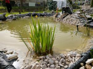 un laghetto con erba e rocce in un giardino di Studio de vacances a Travers