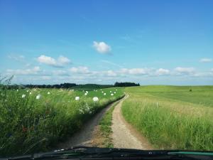 Przyroda w pobliżu tego gospodarstwa agroturystycznego