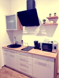A kitchen or kitchenette at Studio apartman Villa Gianna