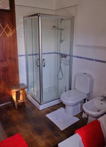 a bathroom with a shower and a toilet and a sink at A Charming , Traditional Cottage at Quinta da Ribeira in Vila Nova de Poiares