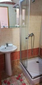 ein Bad mit einer Dusche und einem Waschbecken in der Unterkunft Hostel „La Galan” in Rădăuţi