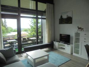 ein Wohnzimmer mit Couch und Fernseher in der Unterkunft Mein Vierjahreszeiten Hotel Garni Superior in Sankt Andreasberg