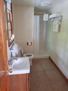 La salle de bains est pourvue de toilettes, d'un lavabo et d'une douche. dans l'établissement Franconia Notch Motel, à Lincoln