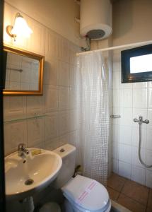 a bathroom with a shower and a toilet and a sink at Christina's Stone Cottage in Kassiopi
