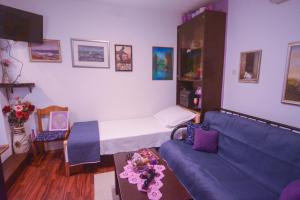 salon z kanapą i łóżkiem w obiekcie Apartments Martinović w mieście Zaton
