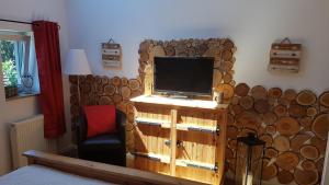 ヴェルダーにあるFewo Leest No.1の木製の壁にテレビ付きのリビングルーム