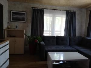 ein Wohnzimmer mit einem blauen Sofa und einem Fenster in der Unterkunft OLEK in Turawa
