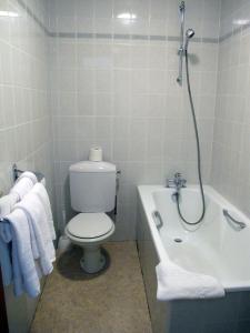 a bathroom with a toilet and a bath tub with towels at Hotel Restaurant - Acacias Bellevue in Veyrier-du-Lac