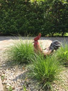Taman di luar B&B d'Oude Brouwerij