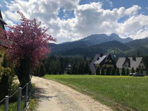 Príroda v okolí apartmánu