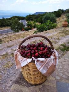 Una cesta de cerezas sentada en la cima de una colina. en Ktima Kiourelioti, en Skála Sykaminéas