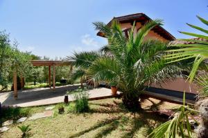 een huis met een palmboom ervoor bij Relaxing holiday house with terrace sea view in Medulin