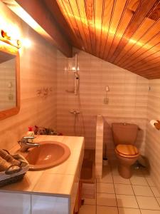 LesperonにあるStemicar dans les Landesの洗面台とトイレ付きのバスルーム