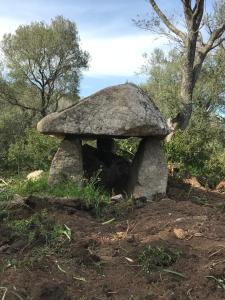 ein steinernes Pilzhaus an einem Hang in der Unterkunft Li Casacci in Arzachena