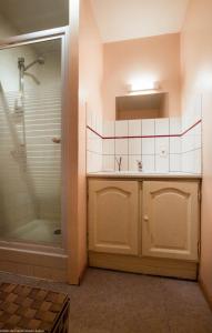 La salle de bains est pourvue d'une douche et d'un lavabo. dans l'établissement Gîte La Saônoise, à Conflandey