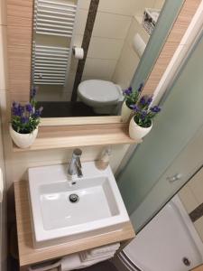 Kúpeľňa v ubytovaní Villa Jani Top Floor Suite