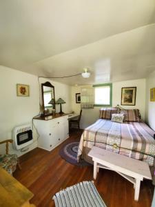 una camera con letto, tavolo e specchio di Bristol Cabins a Lava Hot Springs